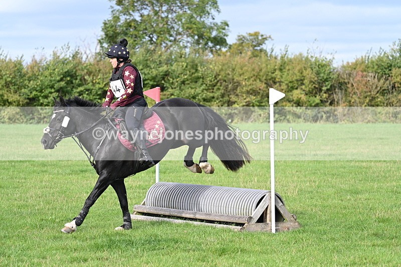 WJ7_8277 - 60cm Pairs