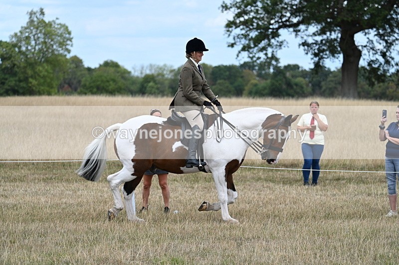 WJ7_4852 - Class 12 Ridden Cob