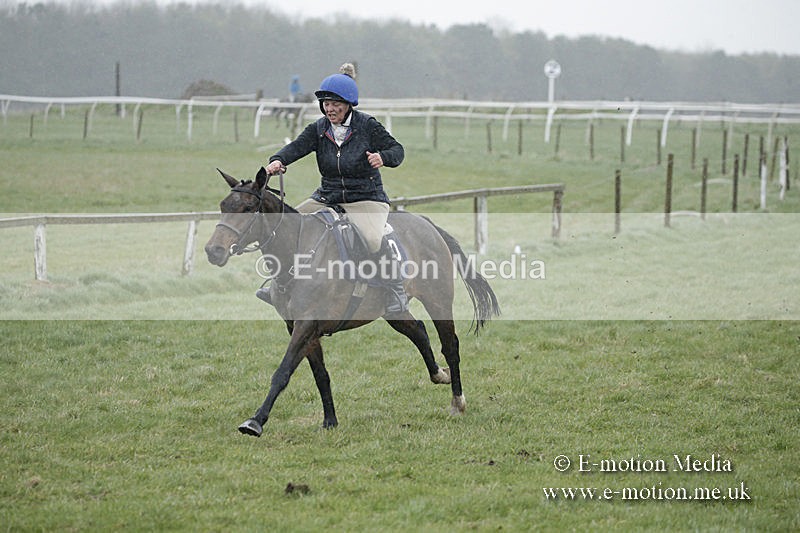PtP 150320 0064 - New Forest Point-to-Point Larkhill 15/03/20