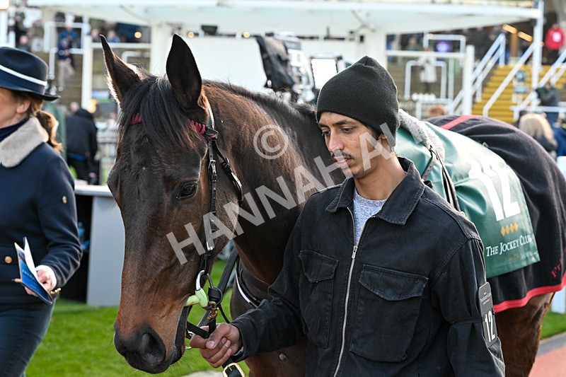 121225-Race 6-JArrive De LEst-6412 - Race 6