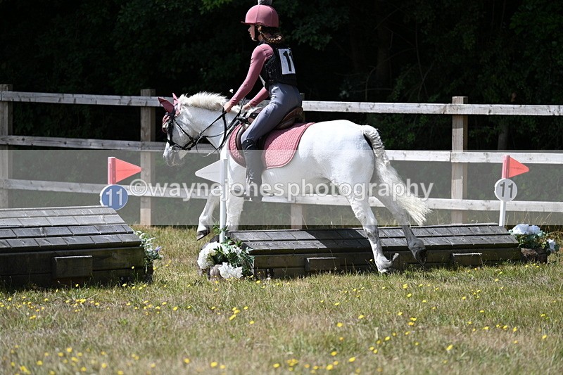 WJ7_0091 - 40cm Time 11:30 to 11:46