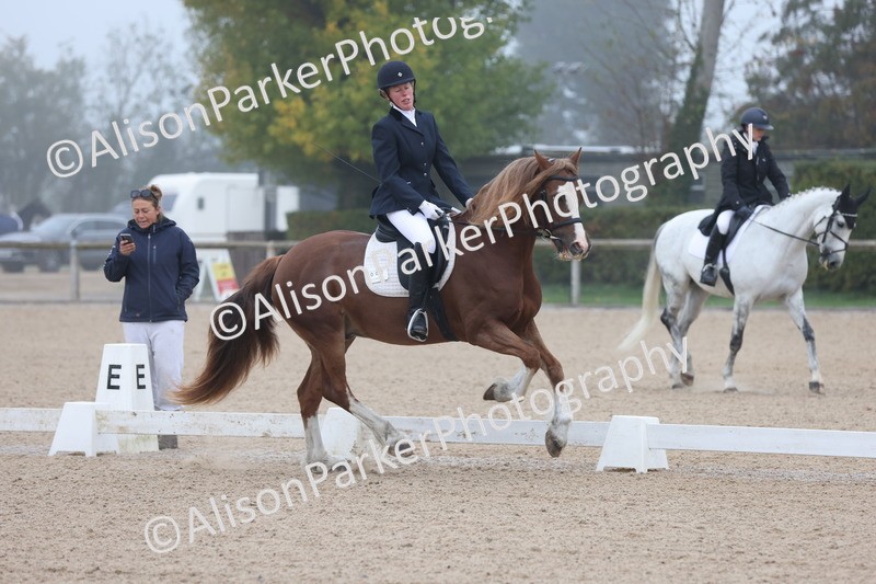 20251012-0011 - Class 1 - Prelim 5