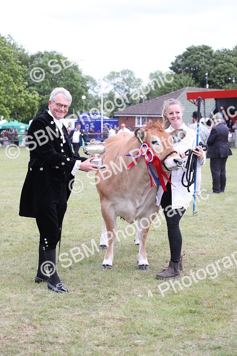 SBM_07901 - Grand Parade