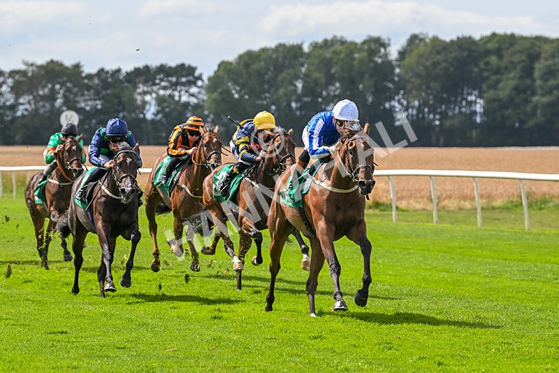 080825-Race 2-Daneh Of Dandy-1987 - Race 2