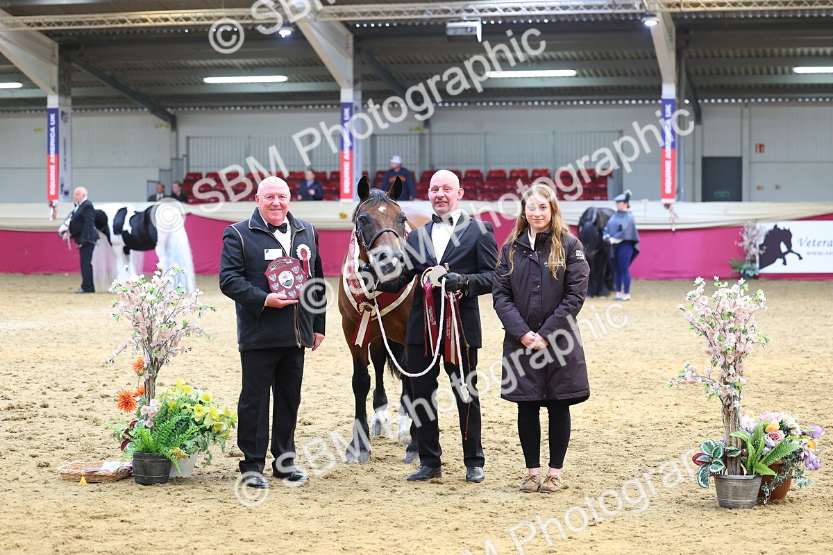 SBM_23012 - Class 903 - Supreme Final - IH Pre Vet