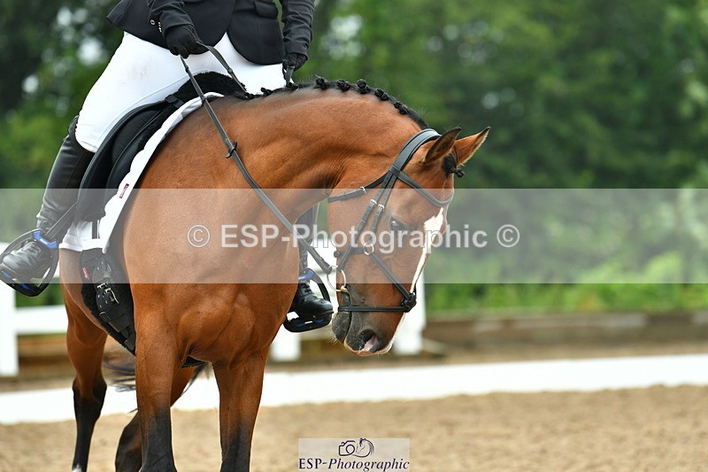 230708A-142439-03444 - Prelim 14