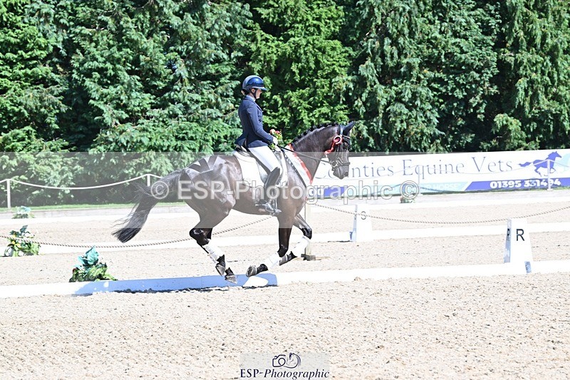 240811-153507-06678 - Adv Medium Gold