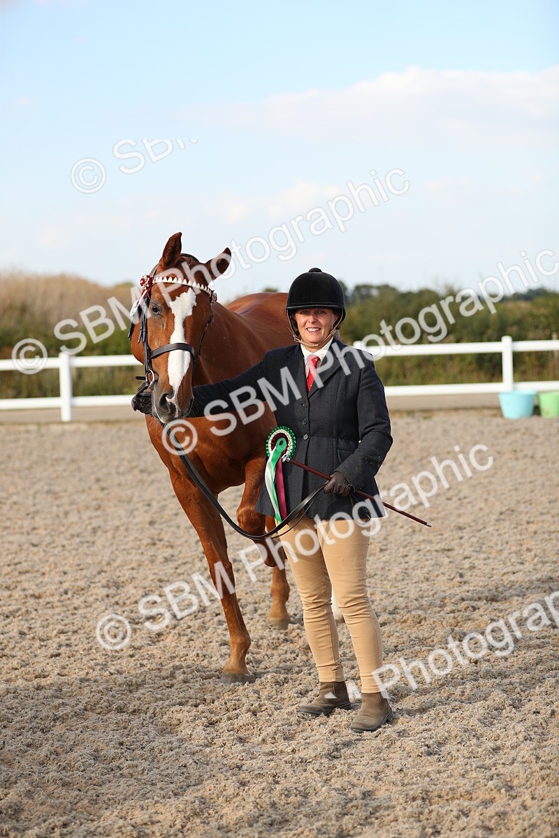SBM_08692 - Class 28 - IH Veteran Horse