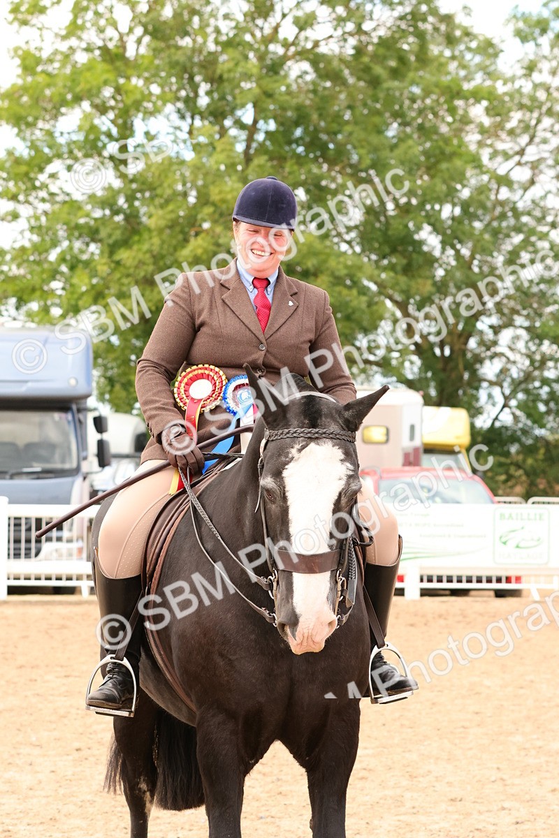 SBM_15594 - Class 214 - Ridden Show Cob