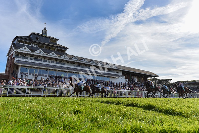 160924-Race 5-King Of The Jungle-6697 - Race 5