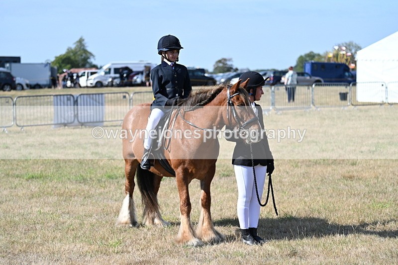 WJ7_2879 - Class 8 Ridden Tack & Turnout