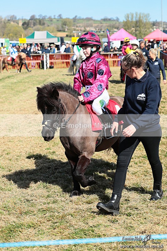 Shet 060426 110 - Shetland Pony Racing Paxford Races Easter Mon 06/04/26