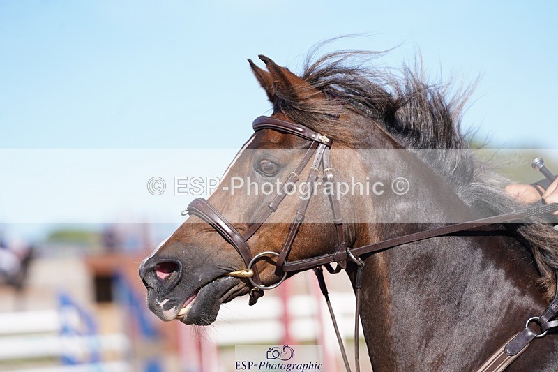 250627-181556-00366 - Cls 4 Pony 1m Open