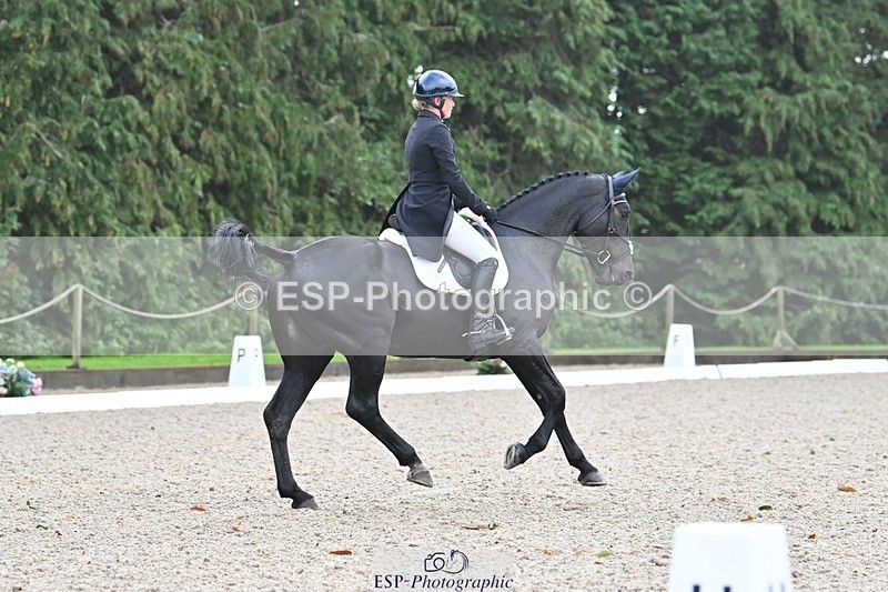 231019-104244-01940 - 102-BAGHEERA-Althea.Bleekman-DR