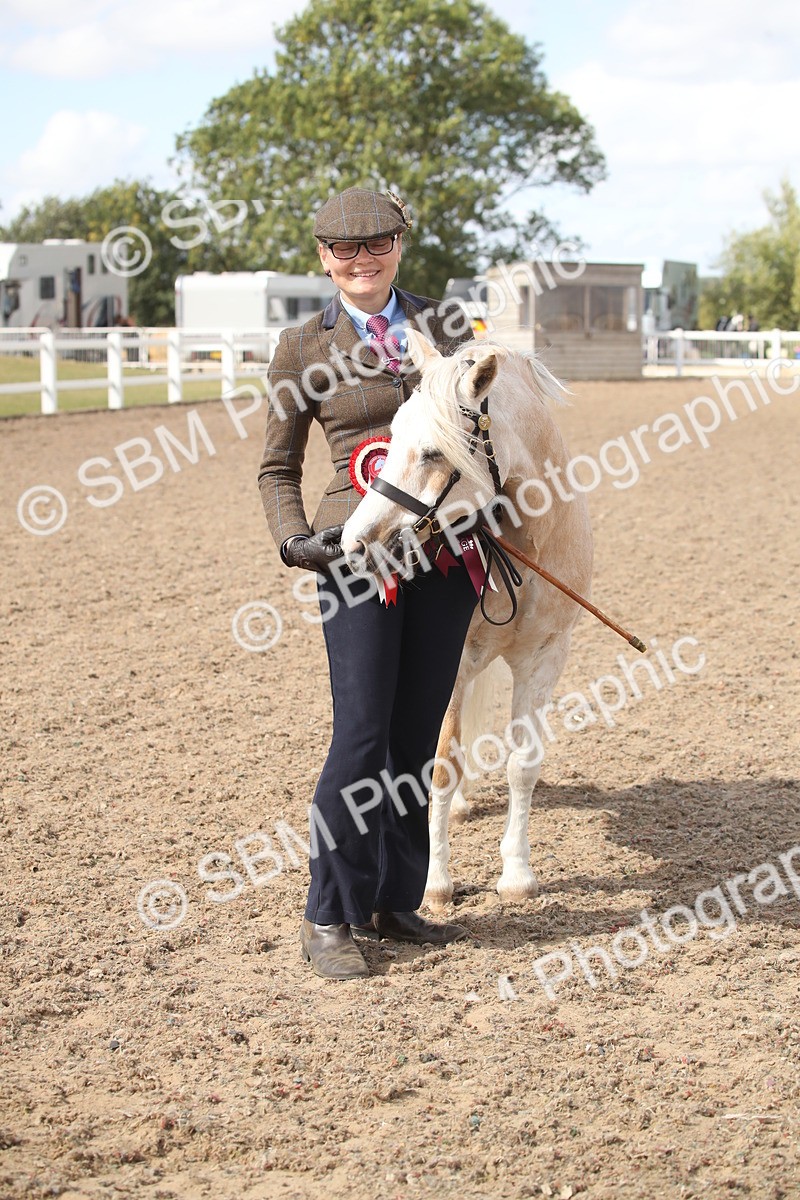 SBM_23482 - Class 604 - 2026 - Area IH Diamond