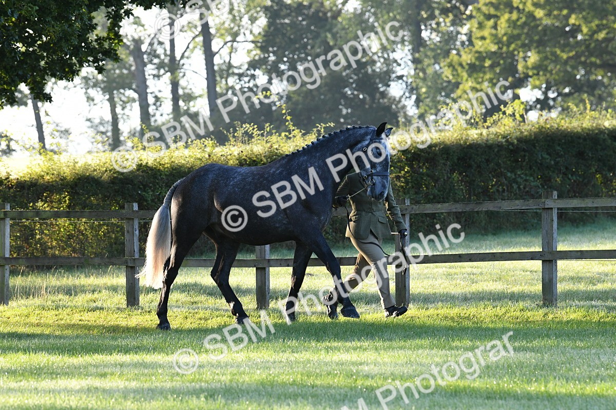 SBM_32488 - S15 - Condition & Turnout In Hand
