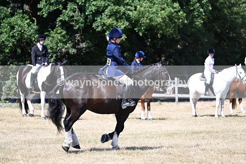 WJ7_3713 - Class 8 Ridden Veterans