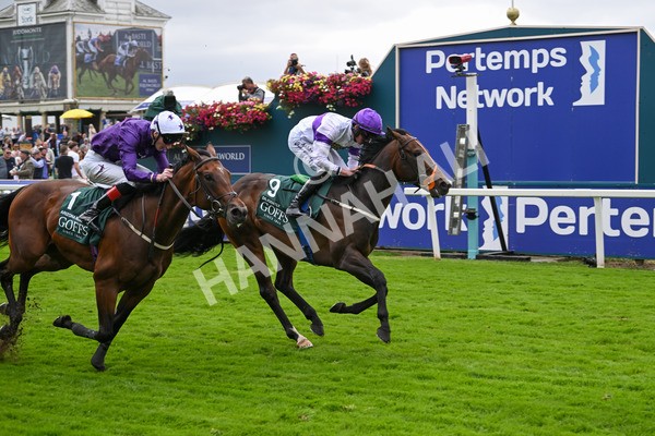 220824-Race 2-Diligently-6837 - Race 2 2.25pm Harry's Half Million By Goffs Premier Yearling Stakes