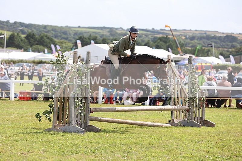 JPP_2047 - Class 19: Working Hunter 60cm