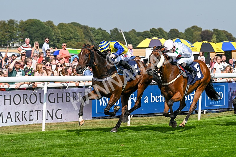 240825-Race 2-Smart Vision-1991 - Race 2