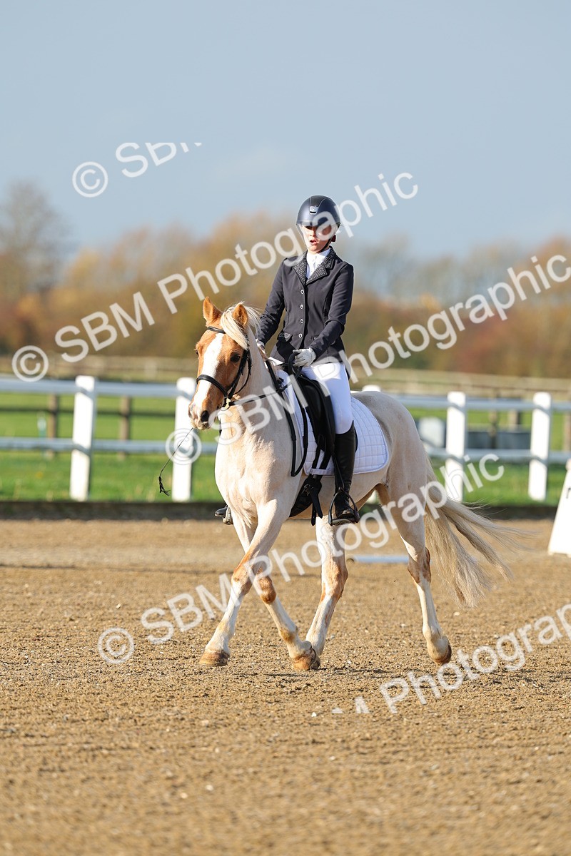 SBM_003013 - Class 2 - Intro 3