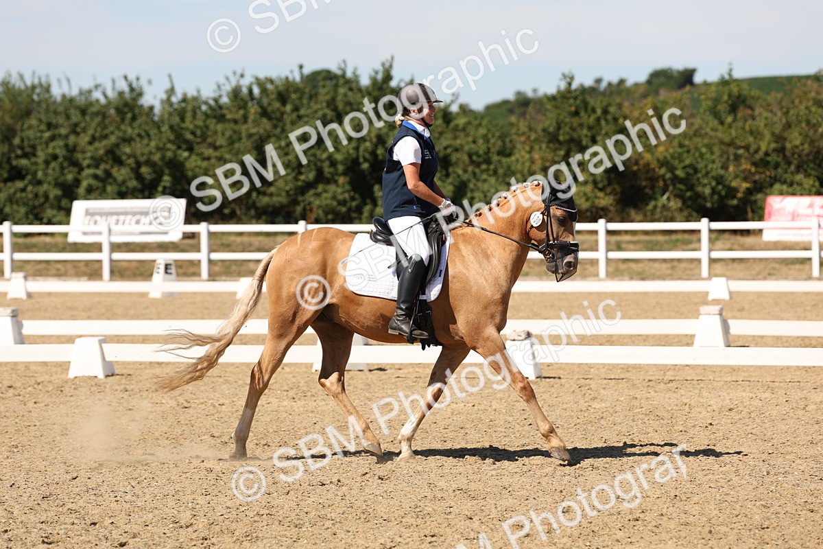 SBM_003679 - Elementary 4