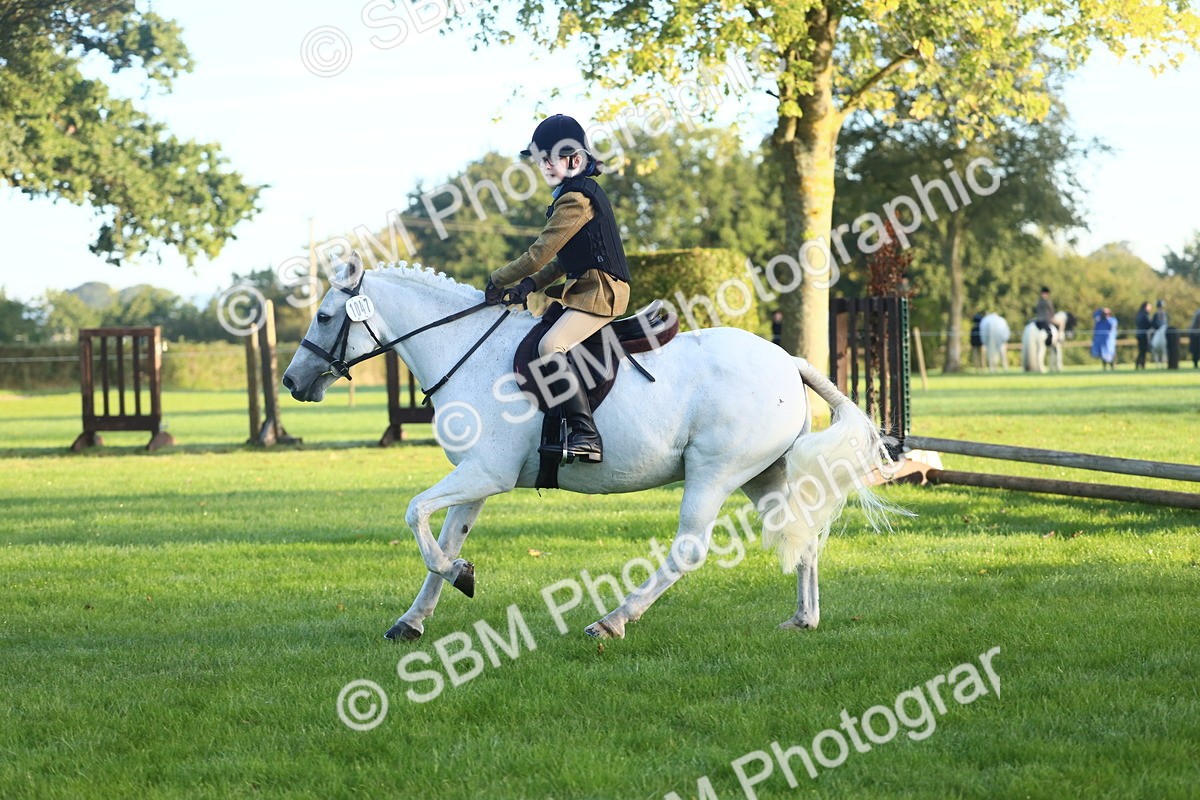 SBM_37130 - S29 - Novice & Newcomers Working Hunter Pony
