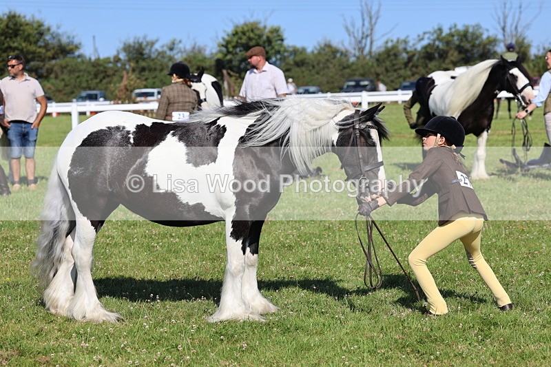 IMG_1580 - Class 30: Ridden Native/Trad Coloured Pony