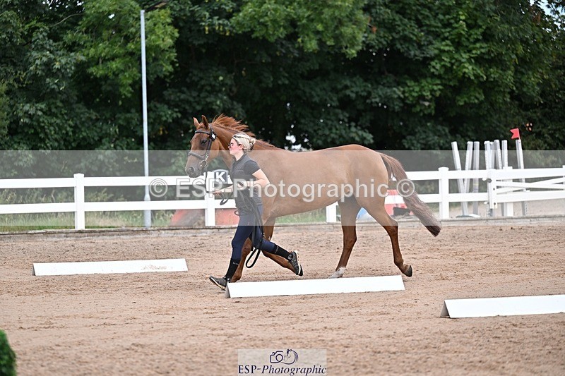 250716-131421-00407 - Trot Up 12.30 to 1.30