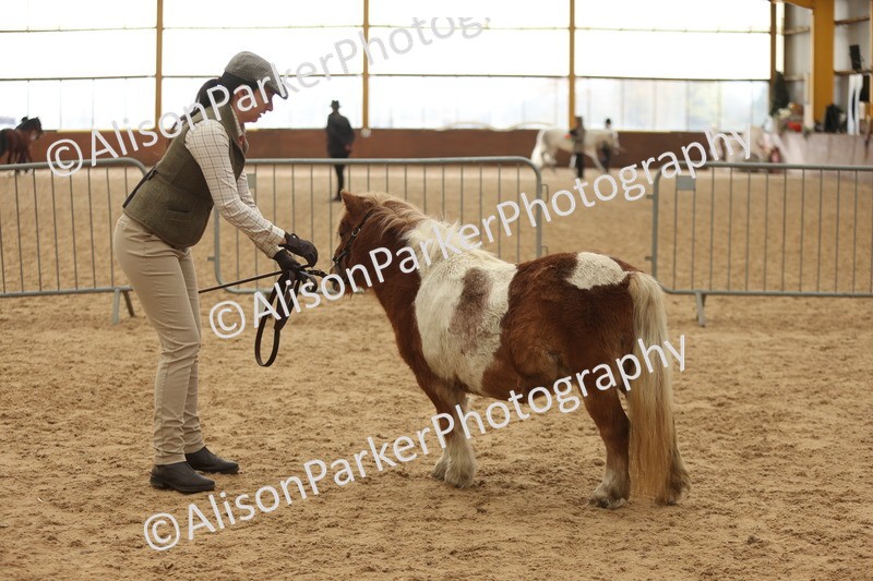 20251109-0335 - Class 13 - Mares 4 Years and Over