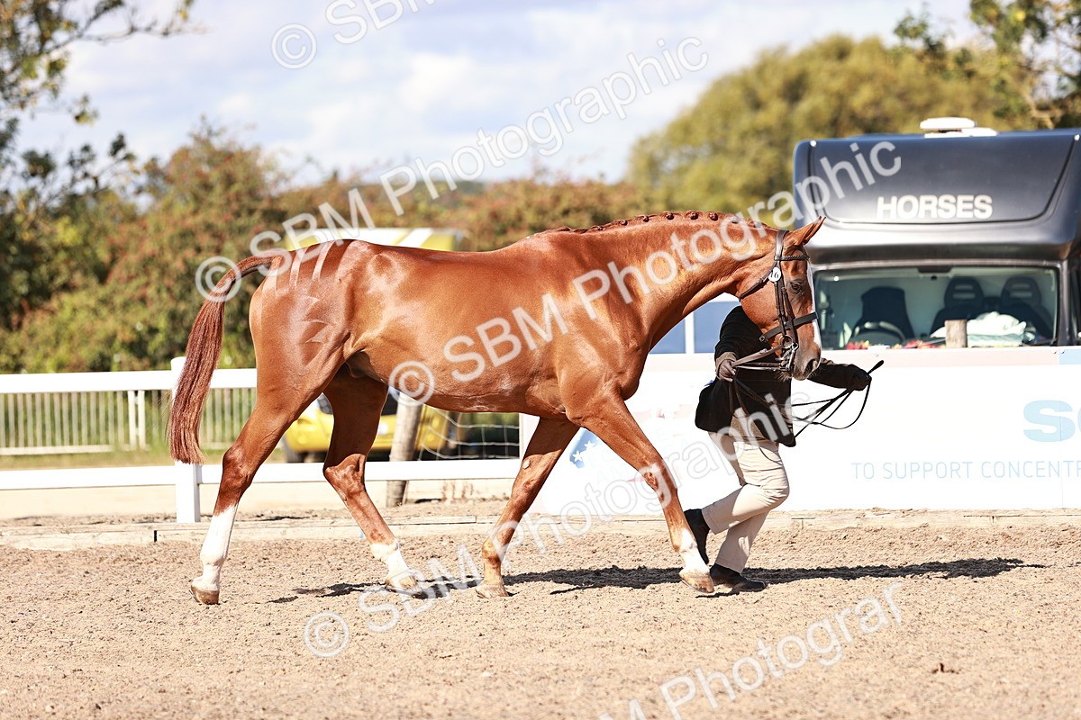 SBM_13325 - class 406 - IH Hunter