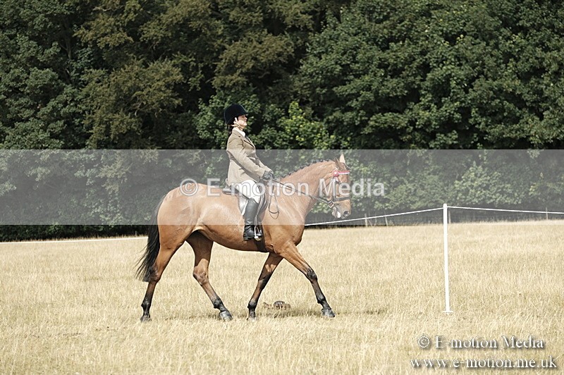 _PJP6109 - Ridden Championship BVRC Show 2018