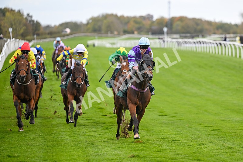281025-Race 4-Evocative Spark-1516 - Race 4