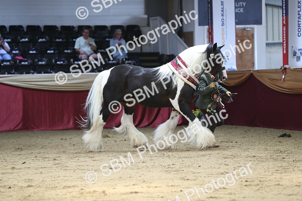 SBM_06603 - Regional IH Champ