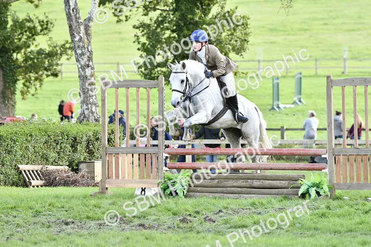 SBM_52152 - S35 - Working Hunter & Working Show Horse