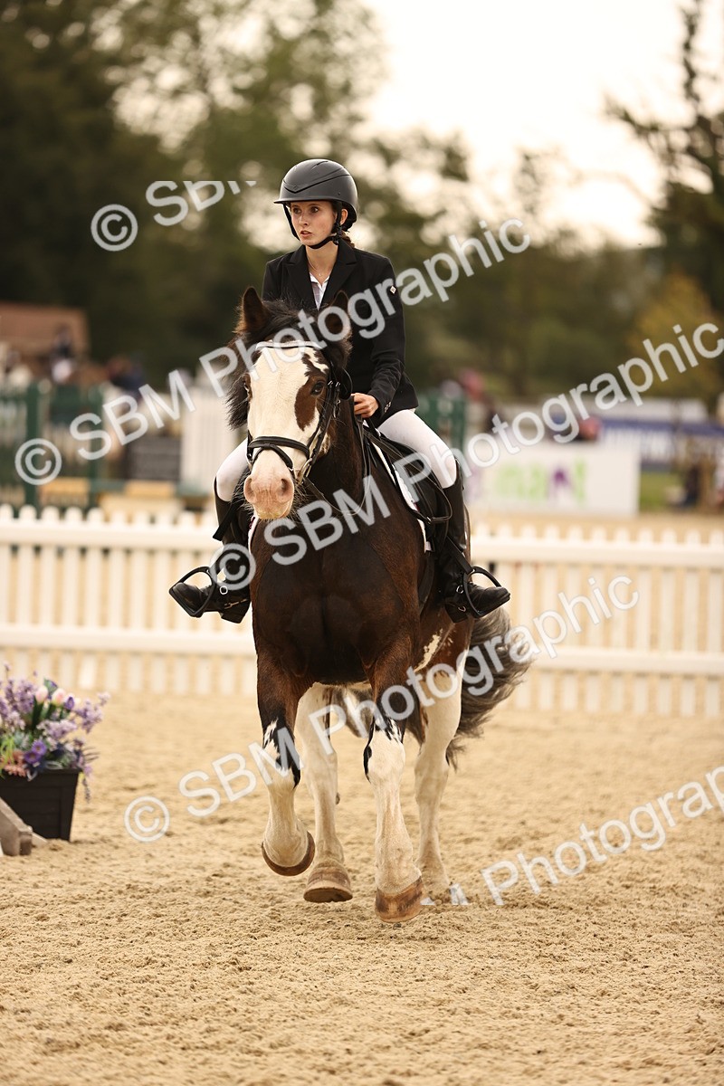 SBM_74168 - J14 - Junior Pony 65cm Championship