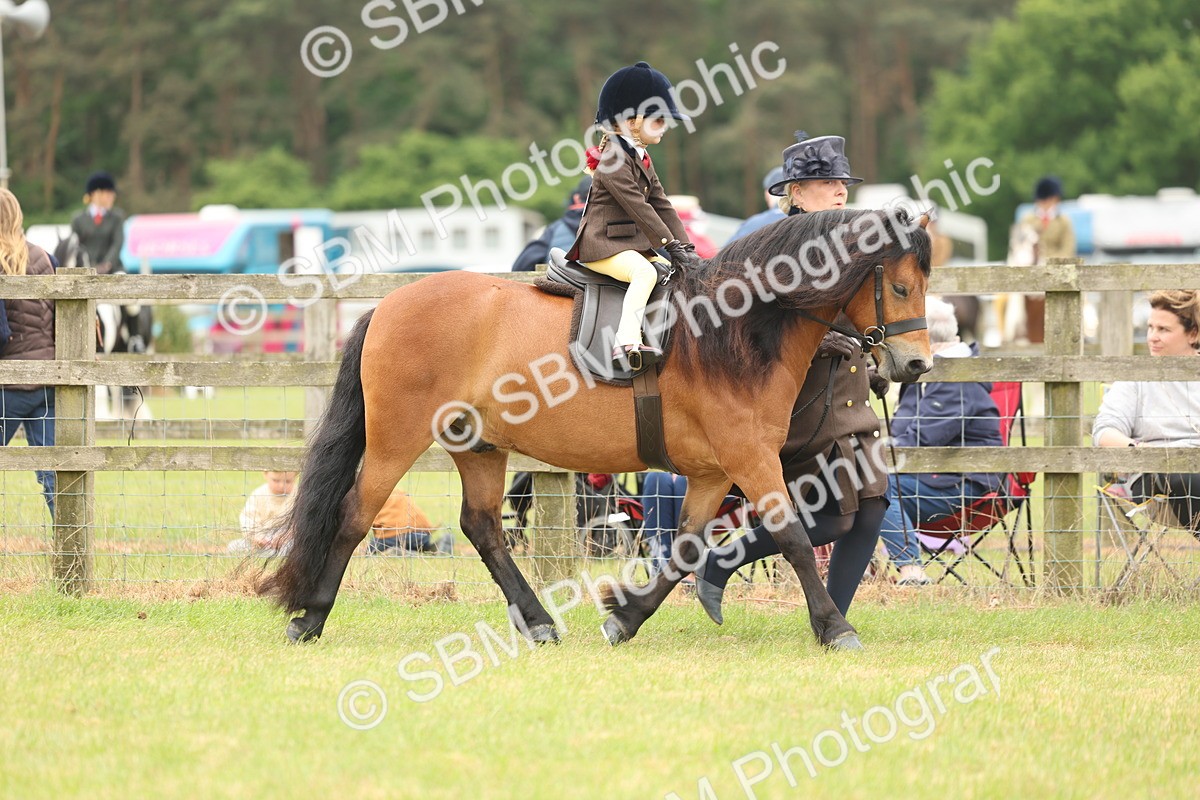 SBM_06717 - Class 74-75 - M&M Lead Rein and First Ridden Pony