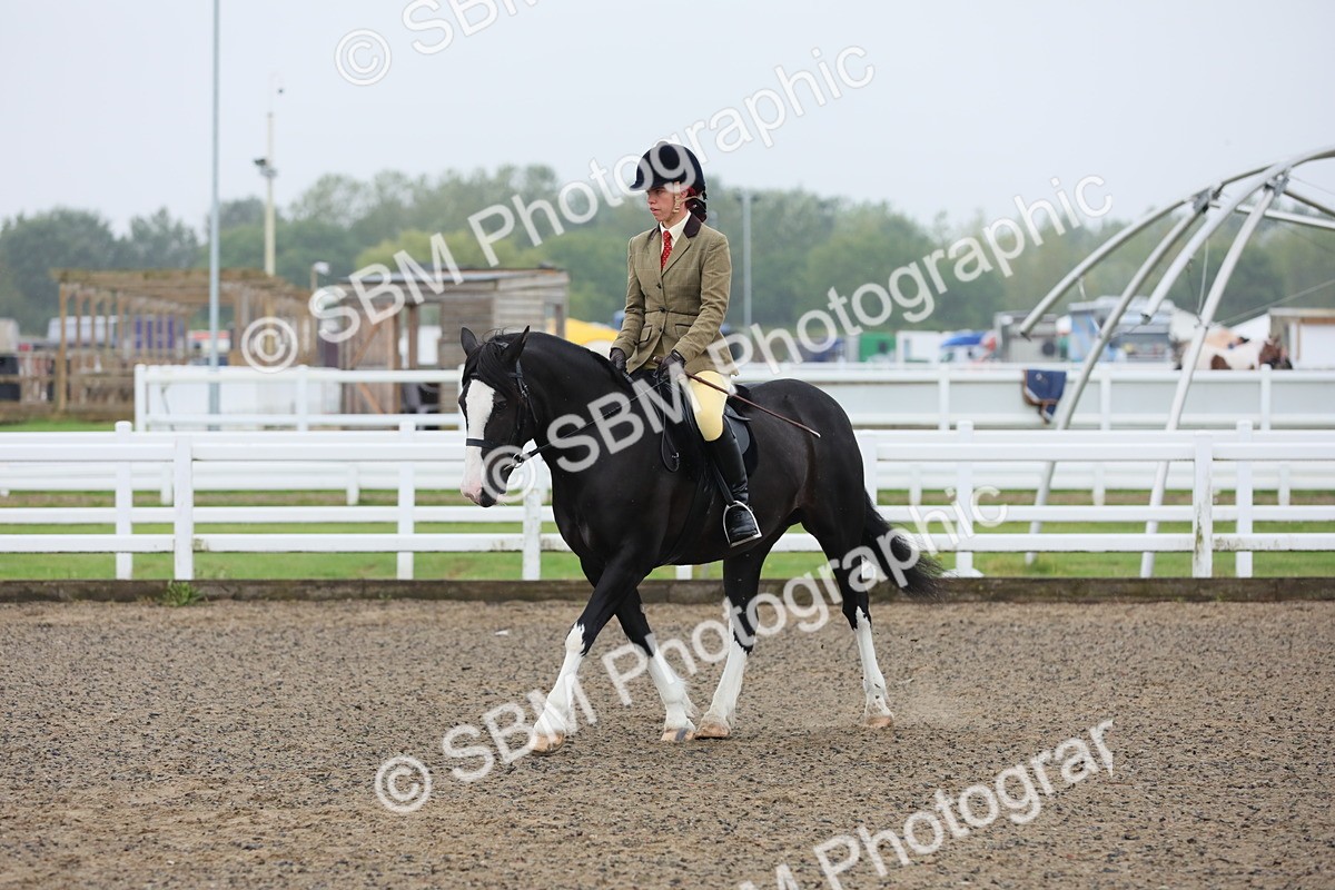 SBM_19942 - Class 801 - Ridden Veteran