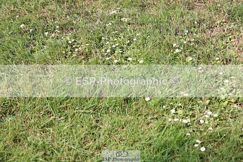 230617-160920-05865 - Cls 09 Blue Chip Pony Newc 2nd Rnd & Jump Off