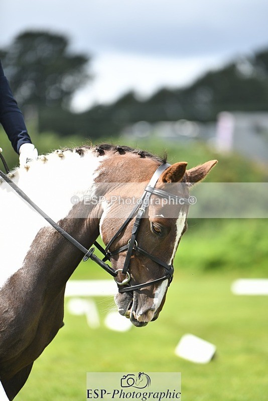 230826-132048-19779 - PC 70 1pm to 2pm