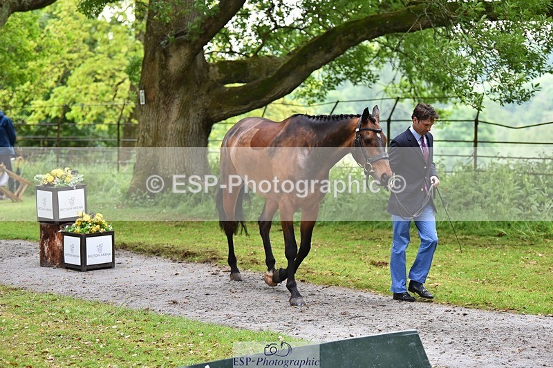 240522-164936-01178 - 260-WATERVALLEY_ROYAL_GUY-Harry_Meade