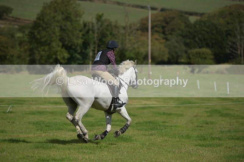 RAY_8621 - Class 2: Trekenning Open: Wall