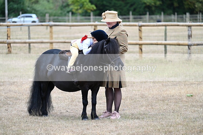 WJ7_8386 - Class 4 Prettiest Mare up to 14.2hh