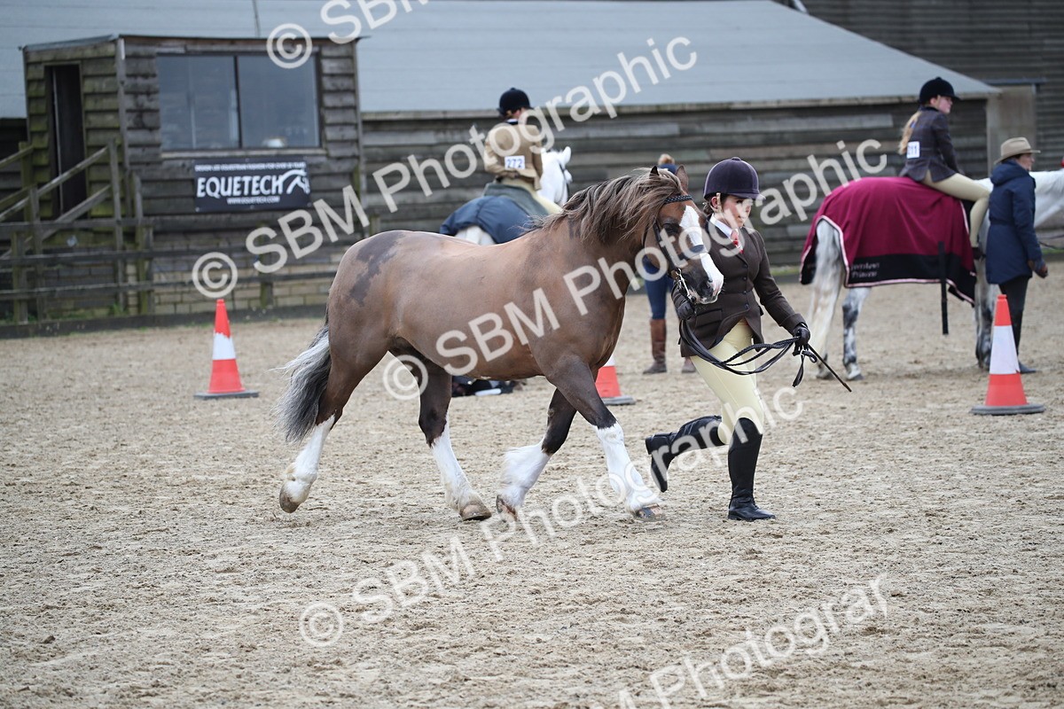 SBM_006168 - Class 10-13 - RIHS Small Large Breeds