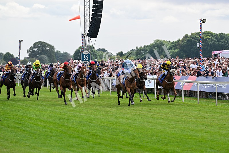 250726-Race 2-Stratusnine-6873 - Race 2 14.00pm Sky Bet Dash