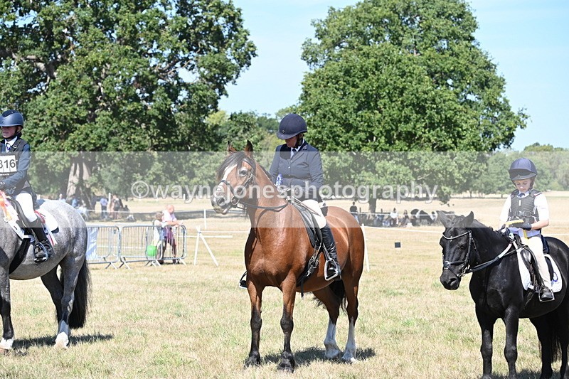 WJ6_8483 - Class 37a Best Loan Pony Ridden