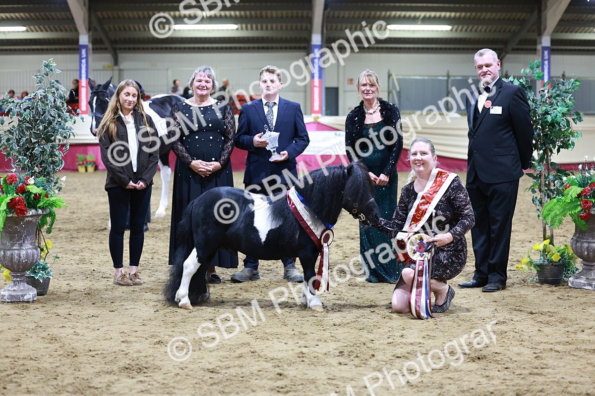 SBM_20864 - Class L - Coloured Champ