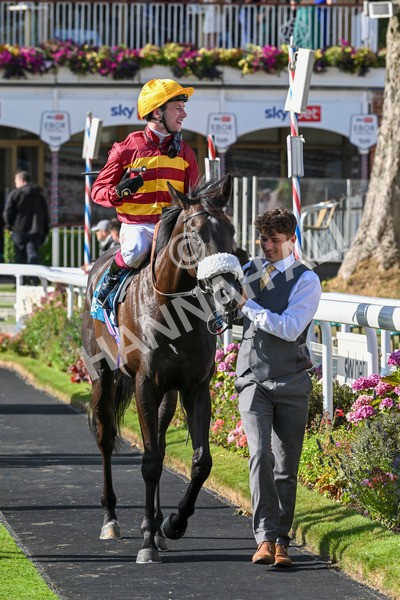 240824-Race 6-Tropical Storm-1906 - Race 6 4.45pm Julia Graves Roses Stakes