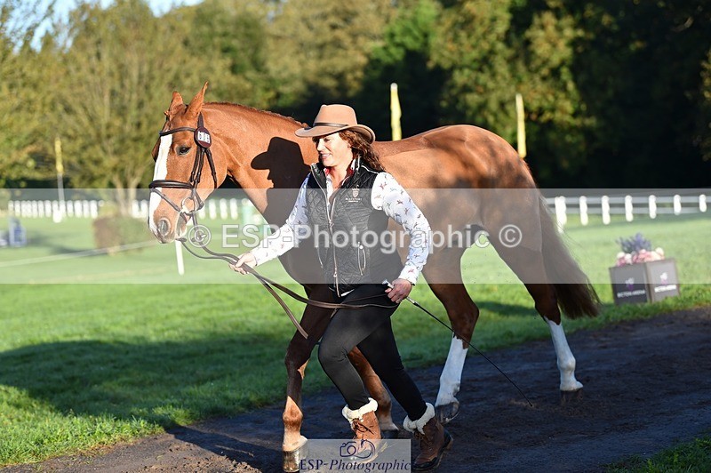 231022-090522-21557 - 606-GOLDEN.HEART.BREAKER-Emily.R.Vincent-TrotUp+SJ