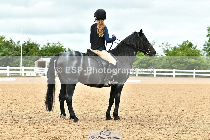 230804A-103006-01933 - Musical Ride